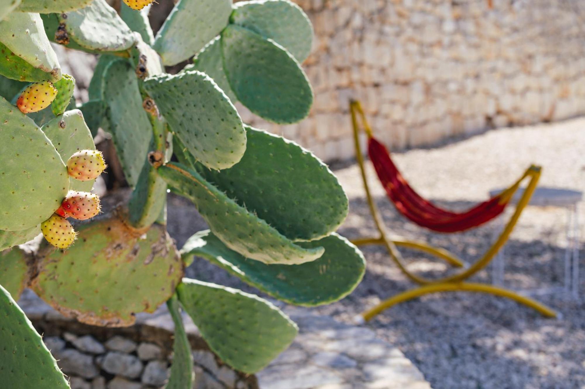 Casa Farlisa - Masseria con piscina Scicli Esterno foto